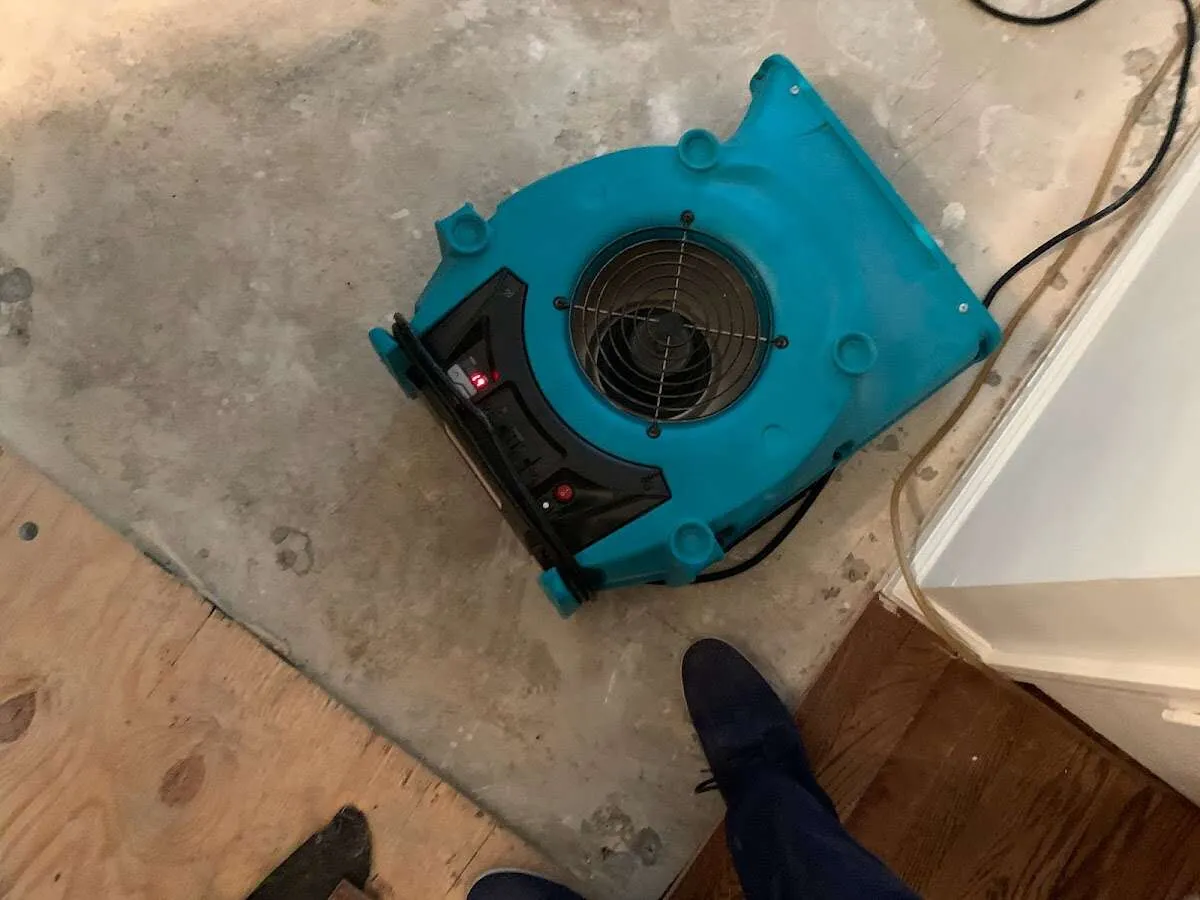 Air mover drying subfloor during Leak Detection & Repair in Shaw Heights