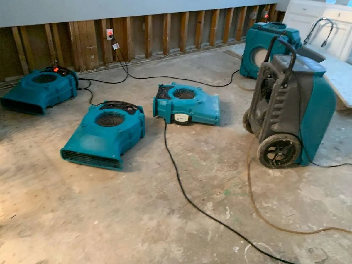 Drying & Dehumidification in Shaw Heights, CO